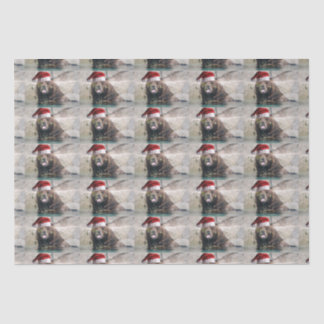 Grizzly Bear Santa Claus Seidenpapier