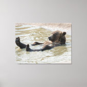 GRIZZLY BEAR Stretched Canvas Print Leinwanddruck (Vorderseite)
