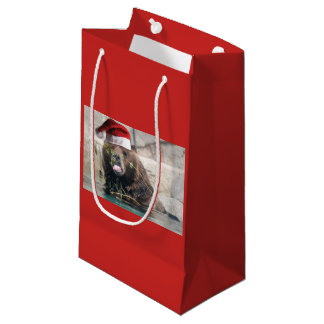 Grizzly Bear trägt einen Weihnachtsratthut Kleine Geschenktüte