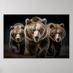 Grizzly Bear Wild Animal Portrait Fierce Power Poster