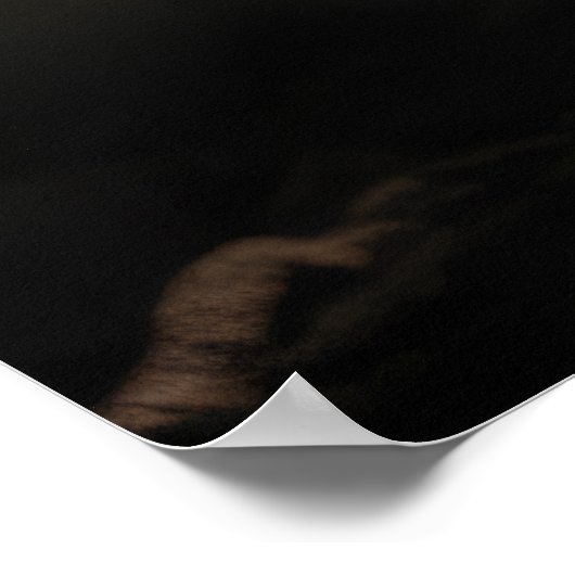 Grizzly Bear Wild Animal Portrait Fierce Power Poster (Ecke)