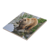 Grizzly Bear Wildlife Animal Fotografie Fliese (Seite)