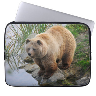 Grizzly Bear Wildlife Animal Fotografie Laptopschutzhülle