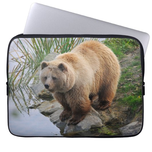 Grizzly Bear Wildlife Animal Fotografie Laptopschutzhülle (Vorderseite)