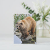 Grizzly Bear Wildlife Animal Fotografie Postkarte (Stehend Vorderseite)