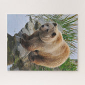 Grizzly Bear Wildlife Animal Fotografie Puzzle (Horizontal)