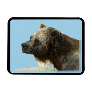 Grizzly Bear Wildlife Animal-Lover Flexi Magnet