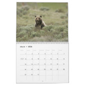 Grizzly Bears 2025 Kalender (Mär 2026)