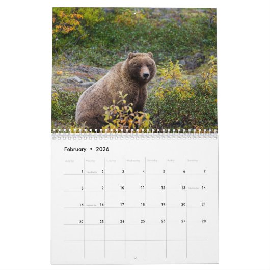 Grizzly Bears 2025 Kalender (Feb 2026)