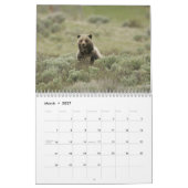 Grizzly Bears 2025 Kalender (Mär 2027)