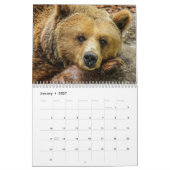 Grizzly Bears 2025 Kalender (Jan 2027)