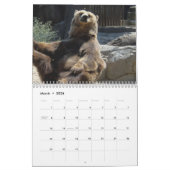 Grizzly Bears 2025 Kalender (Mär 2026)
