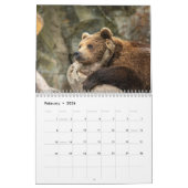 Grizzly Bears 2025 Kalender (Feb 2026)