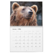 Grizzly Bears 2025 Kalender (Jan 2026)