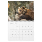 Grizzly Bears 2025 Kalender (Feb 2027)
