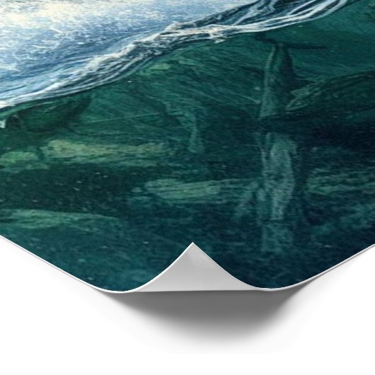 Grizzly Bears mit Forellenlachs 16x20 Poster (Ecke)