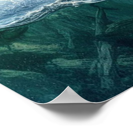 Grizzly Bears mit Forellenlachs 18x24 Poster (Ecke)