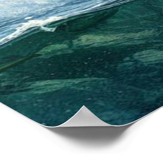 Grizzly Bears mit Forellenlachs 36x24 Poster (Ecke)