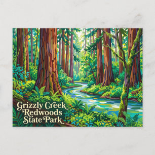Grizzly Creek Redwoods State Park Kalifornien Postkarte