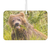 Grizzly cuzing, Alaska Autolufterfrischer (Vorderseite)