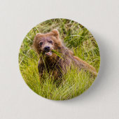 Grizzly cuzing, Alaska Button (Vorderseite)