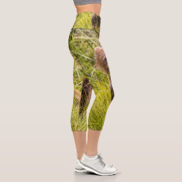 Grizzly cuzing, Alaska Capri Leggings