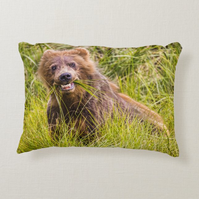 Grizzly cuzing, Alaska Dekokissen (Rückseite)