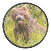 Grizzly cuzing, Alaska Eishockey Puck (Vorderseite)