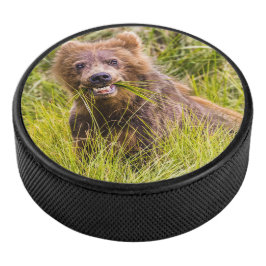 Grizzly cuzing, Alaska Eishockey Puck