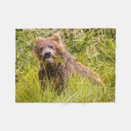 Grizzly cuzing, Alaska Fleecedecke
