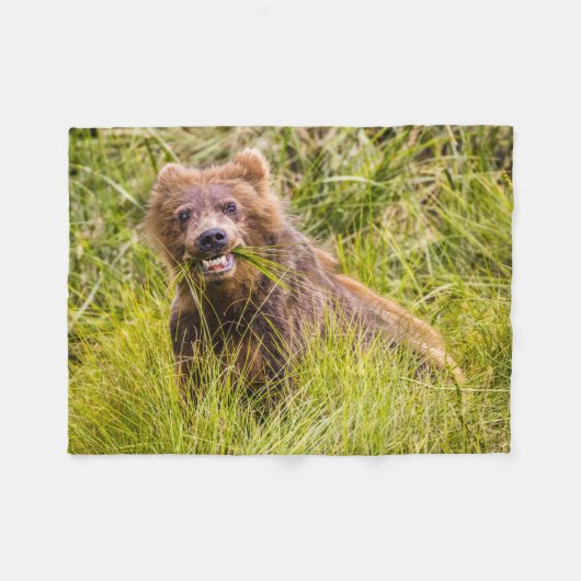 Grizzly cuzing, Alaska Fleecedecke (Vorderseite (Horizontal))