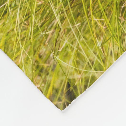 Grizzly cuzing, Alaska Fleecedecke (Ecke)