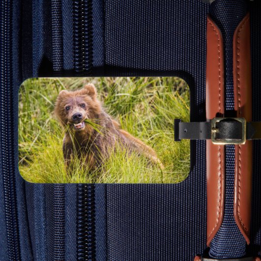 Grizzly cuzing, Alaska Gepäckanhänger (Vorderseite Insitu 4)