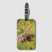 Grizzly cuzing, Alaska Gepäckanhänger (Vorderseite Vertikal)