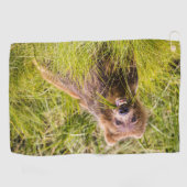 Grizzly cuzing, Alaska Golfhandtuch (Horizontal)