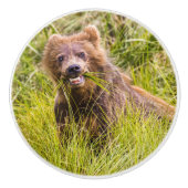 Grizzly cuzing, Alaska Keramikknauf (Vorderseite)