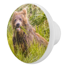 Grizzly cuzing, Alaska Keramikknauf