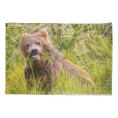 Grizzly cuzing, Alaska Kissenbezug (Rückseite)