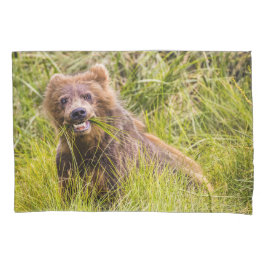 Grizzly cuzing, Alaska Kissenbezug