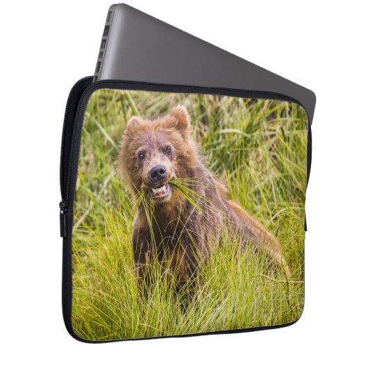 Grizzly cuzing, Alaska Laptopschutzhülle (Vorne Rechts)
