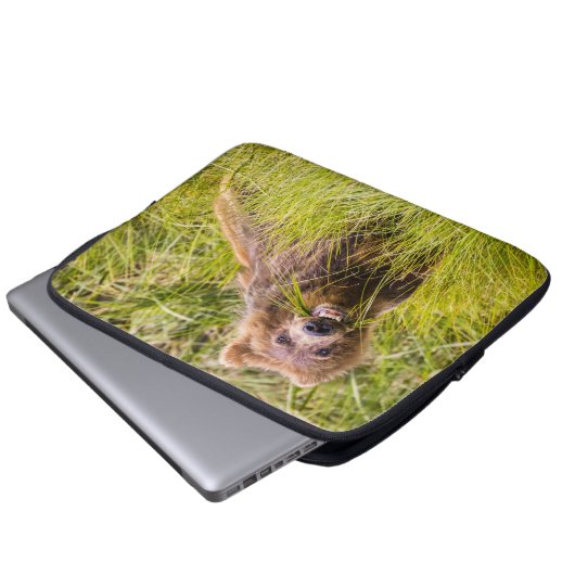 Grizzly cuzing, Alaska Laptopschutzhülle (Vorne Knopf)