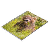 Grizzly cuzing, Alaska Notizblock (Linke Seite)
