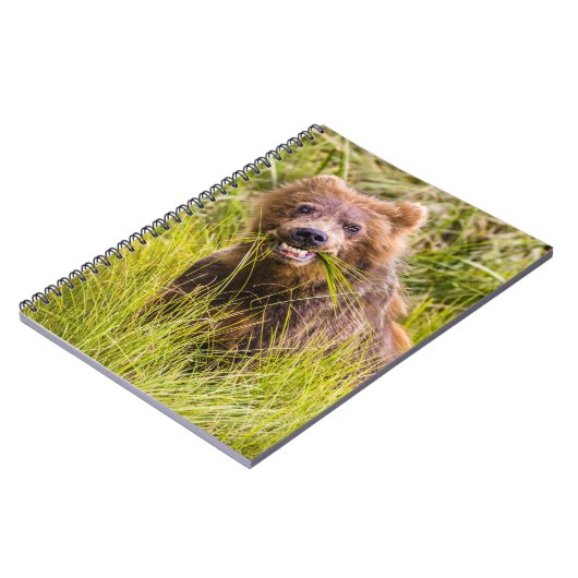 Grizzly cuzing, Alaska Notizblock (Linke Seite)