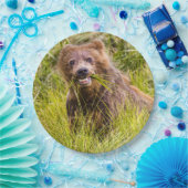 Grizzly cuzing, Alaska Pappteller (Party)