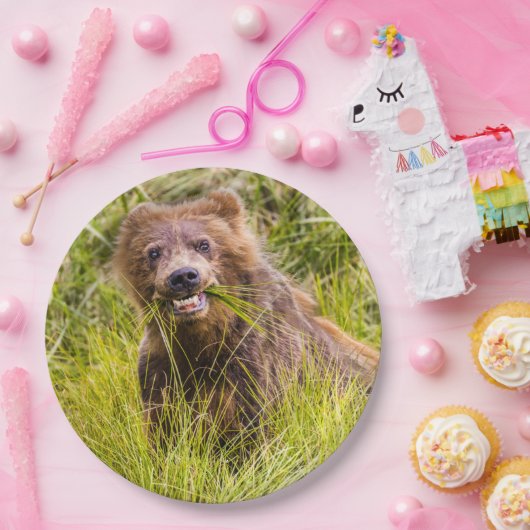 Grizzly cuzing, Alaska Pappteller (Party)