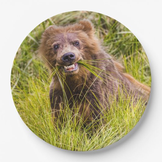Grizzly cuzing, Alaska Pappteller (Vorderseite)