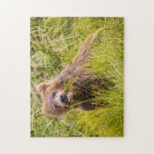 Grizzly cuzing, Alaska Puzzle (Vertikal)