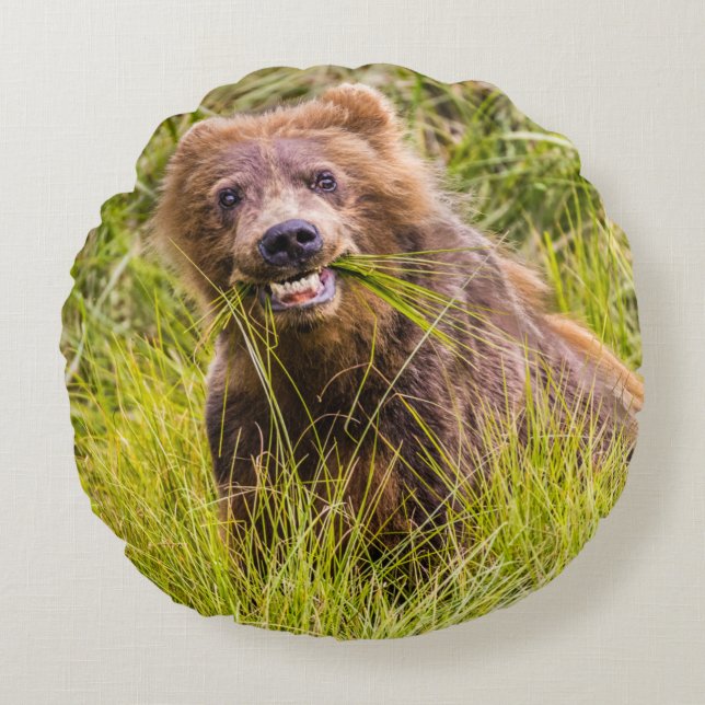 Grizzly cuzing, Alaska Rundes Kissen (Vorderseite)