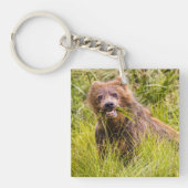 Grizzly cuzing, Alaska Schlüsselanhänger (Vorderseite)