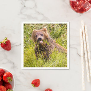 Grizzly cuzing, Alaska Serviette